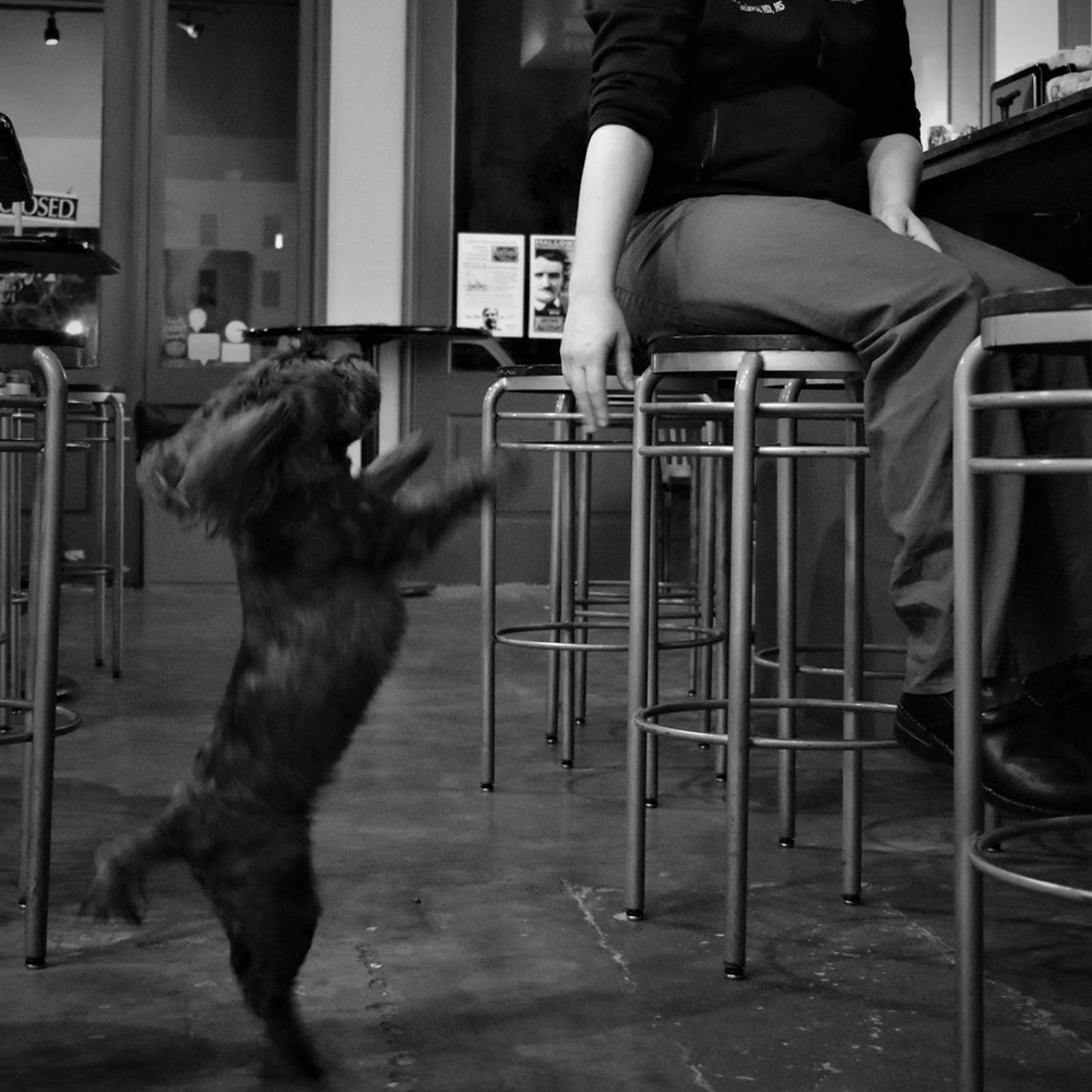 Meet your Posher, Melissa